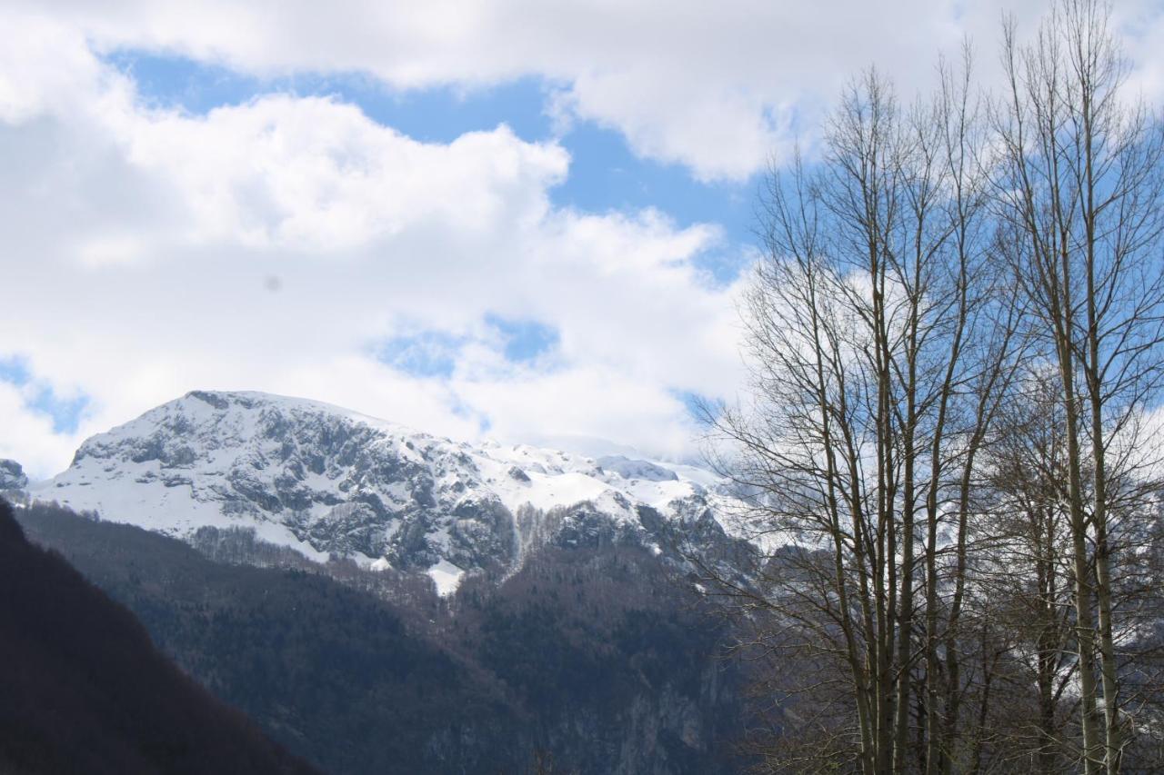 Mountain View Resort Gusinje ภายนอก รูปภาพ